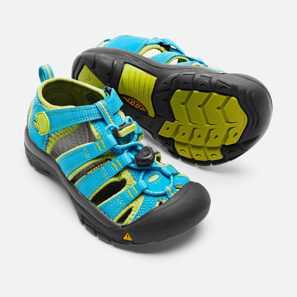 Sandales Keen Enfant Bleu/Vert | Newport H2 | ZFLGM-2365